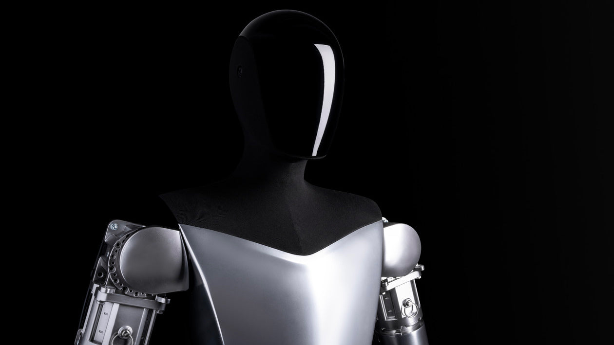 Don’t Mess With Tesla Bot