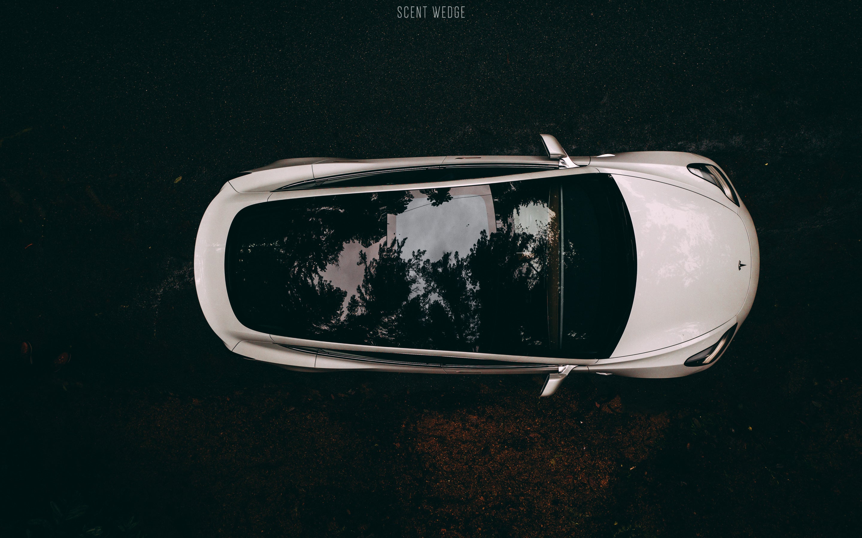 The Strength Of The Tesla Glass Roof