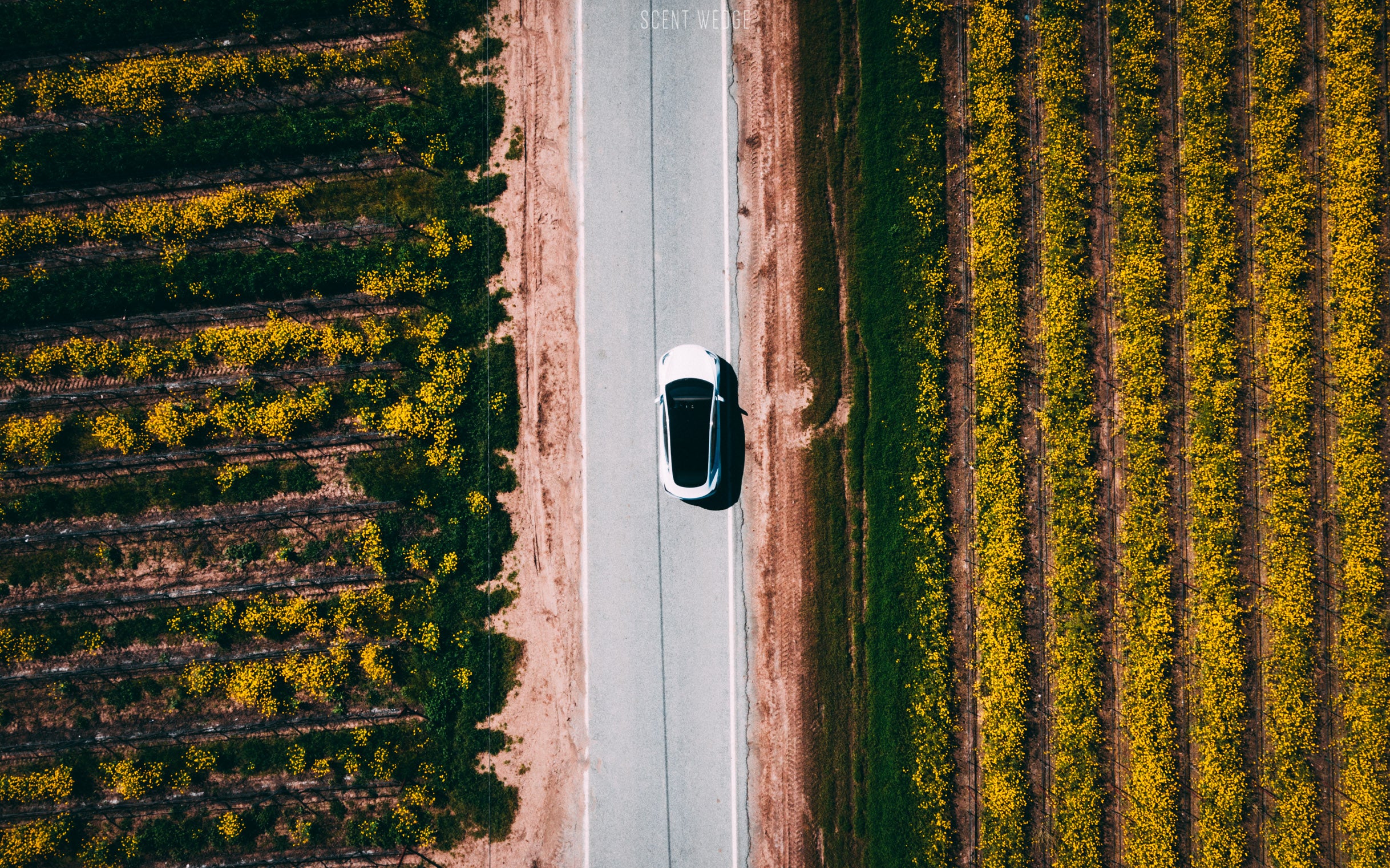 Autonomy bought 23,000 EVs