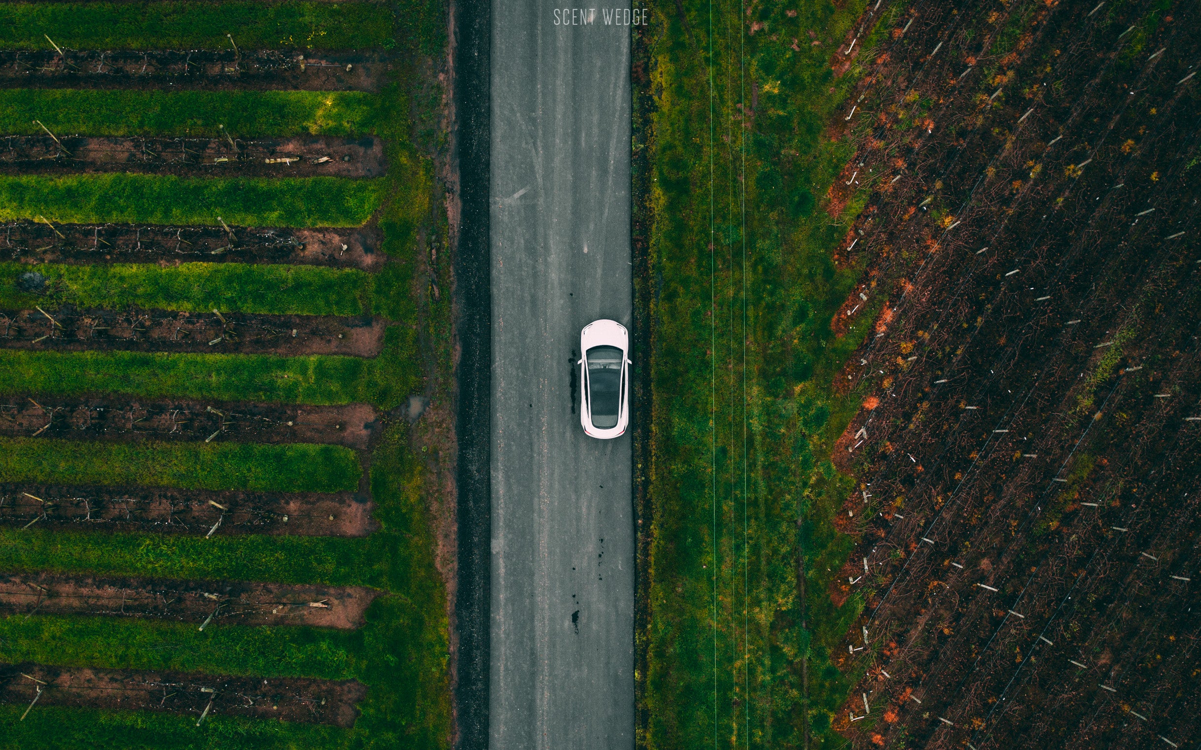 Join us at the Tesla Takeover tomorrow!