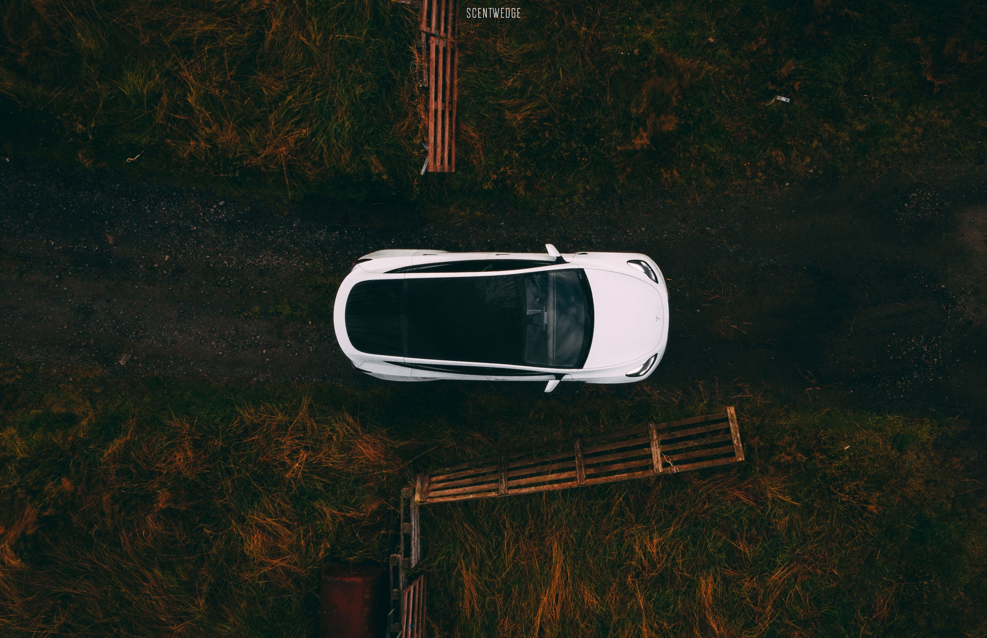 Tesla Model Y Becomes Norway’s Best-Selling EV, Surpassing Nissan Leaf