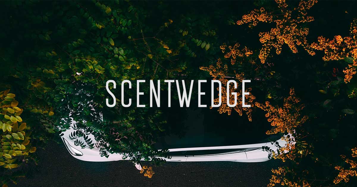 scentwedge.com