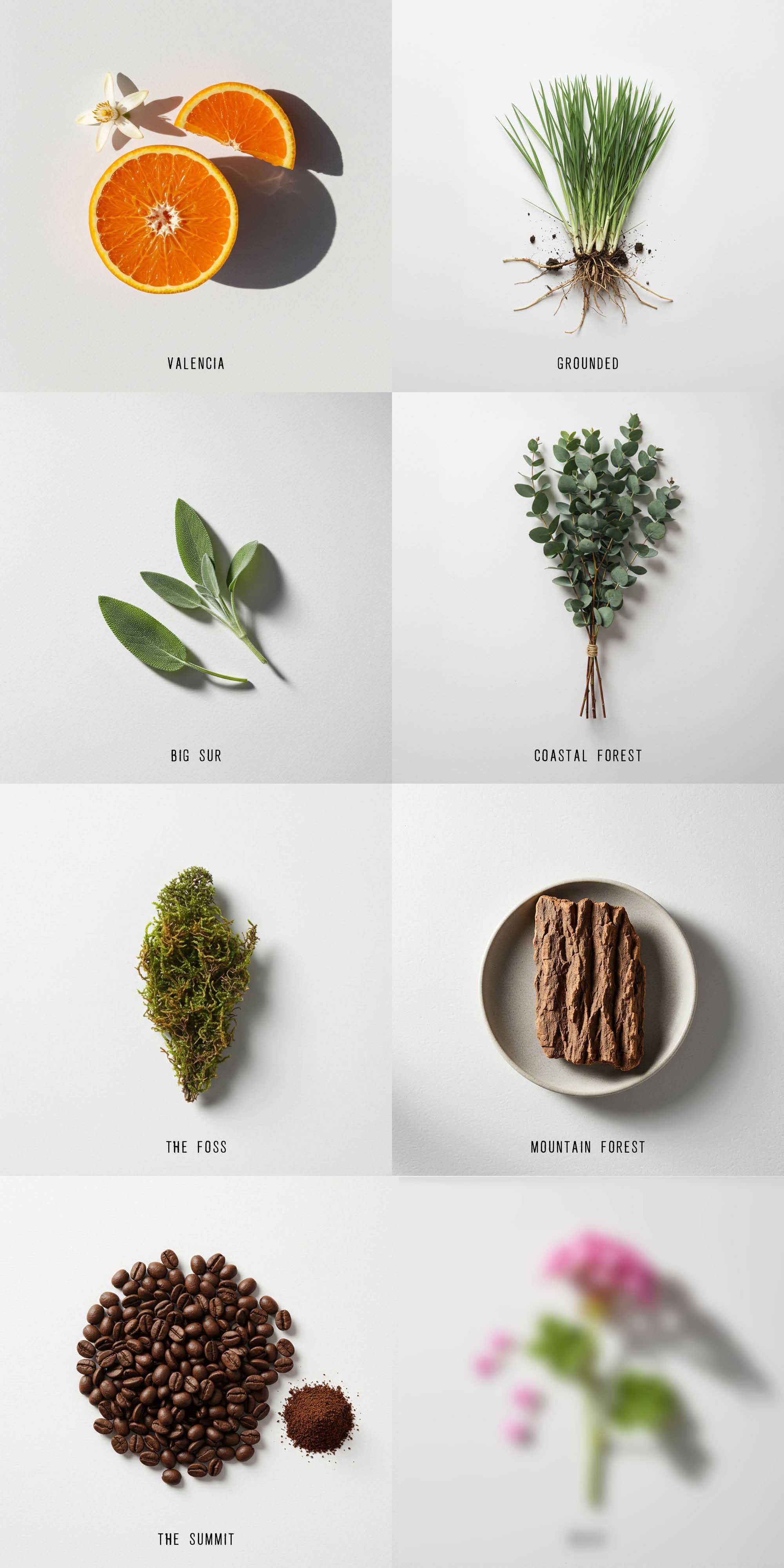The Collective Refresh