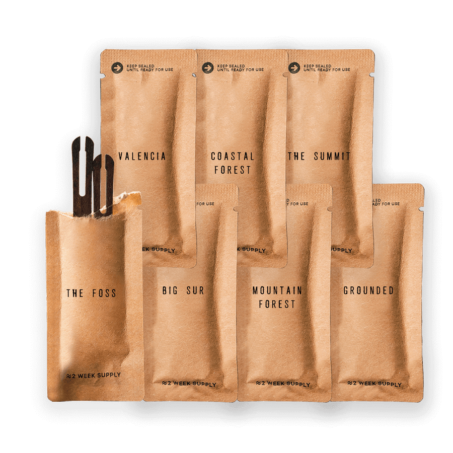 Tesla Model 3 Y Air Freshener The Collective ScentWedge tesla-model-3-y-air-freshener-the-collective-scentwedge